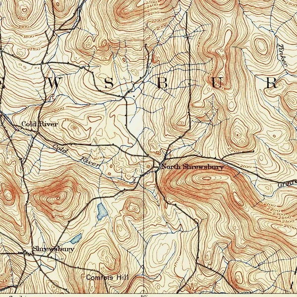 Detail: the contour work of the 1890s engravers