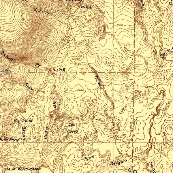 Detail: Chimney Pond in its basin