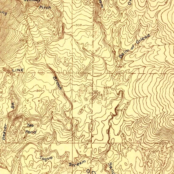 Detail: the Katahdin Park Game Preserve boundary