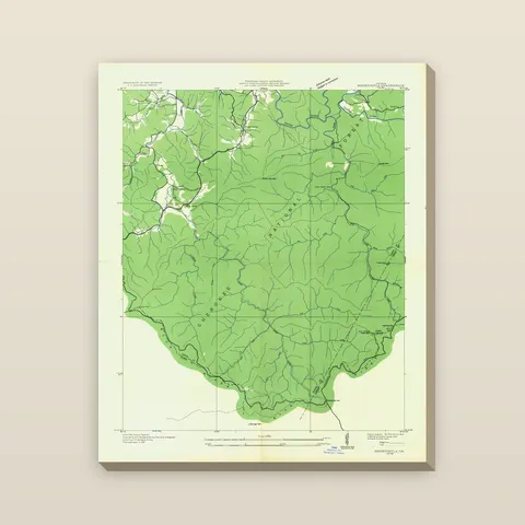 Springer Mountain Topographic Map, 1935 — Stretched canvas