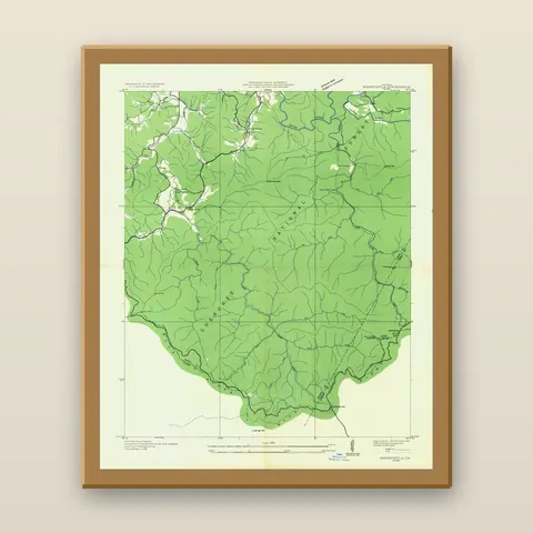 Springer Mountain Topographic Map, 1935 — Framed — natural oak